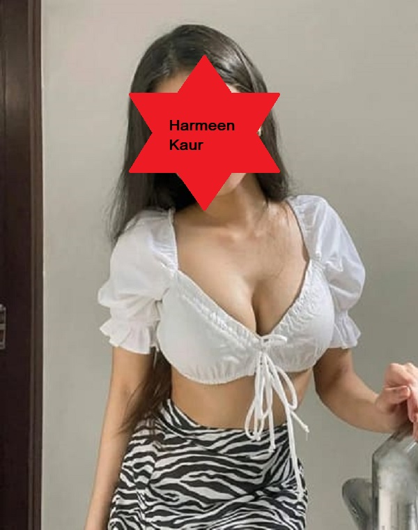ludhiana escort agency
