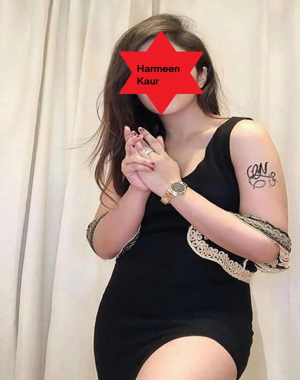 ludhiana escort service